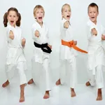 Школы единоборств